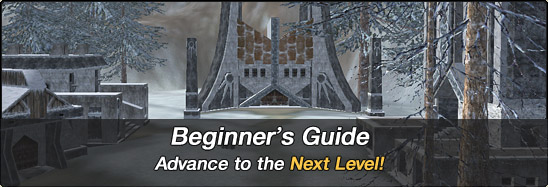 Beginner's Guide